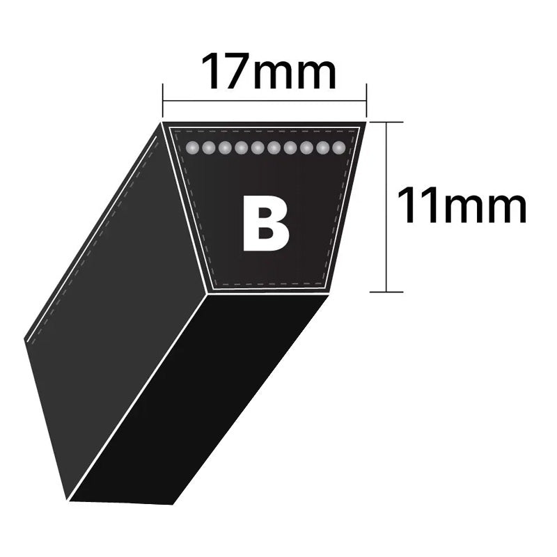 B221 Pix B-Section V-Belt