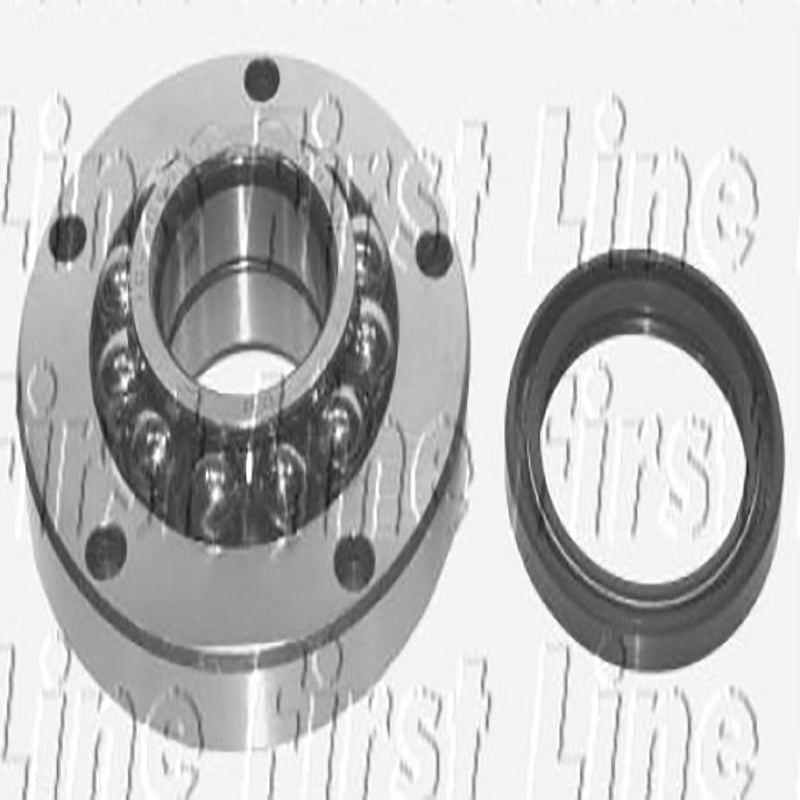 FBK175 Rear Wheel Bearing Kit