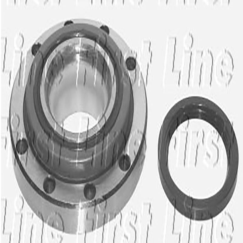 FBK176 Rear Wheel Bearing Kit