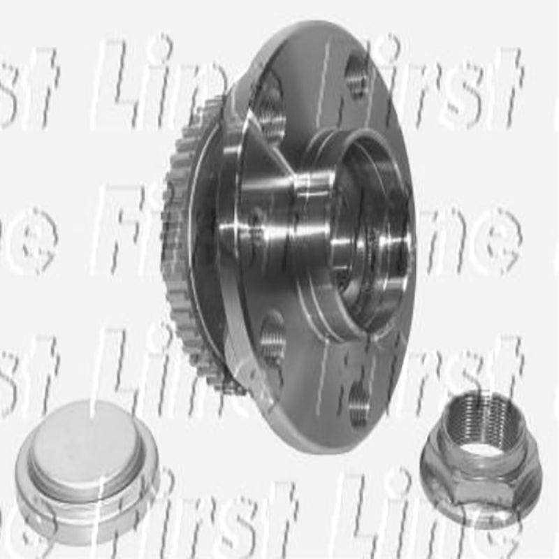 FBK487 Rear Wheel Bearing Kit