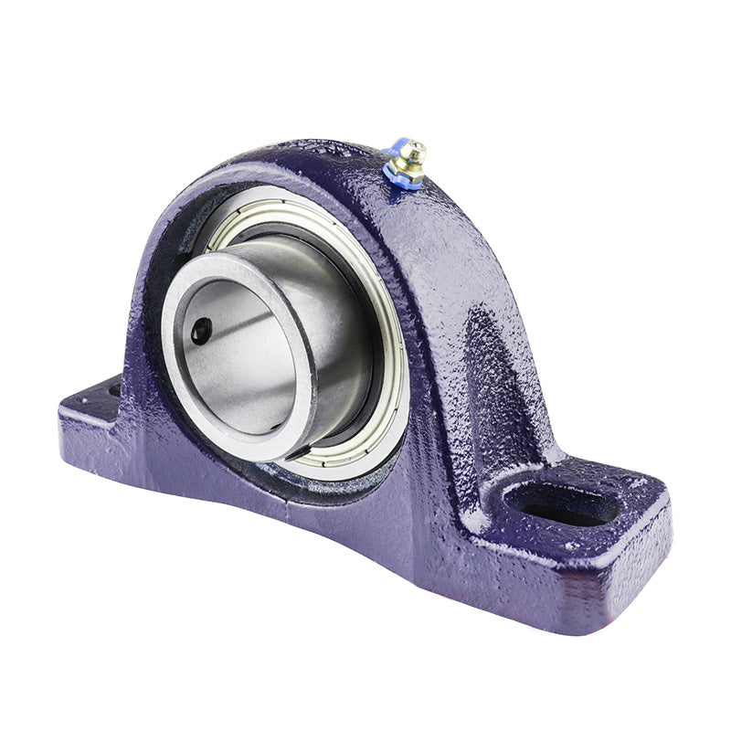 RHP NP2-1/2 Two Bolt Cast Iron Pillow Block and 2-1/2 Bore Grub Screw Full Width Insert