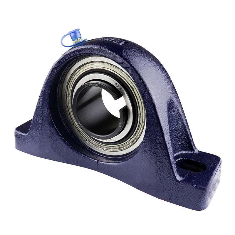 RHP NP1030-1K Two Bolt Cast Iron Pillow Block and 1 Bore Taper Insert with Sleeve and Lock Nut