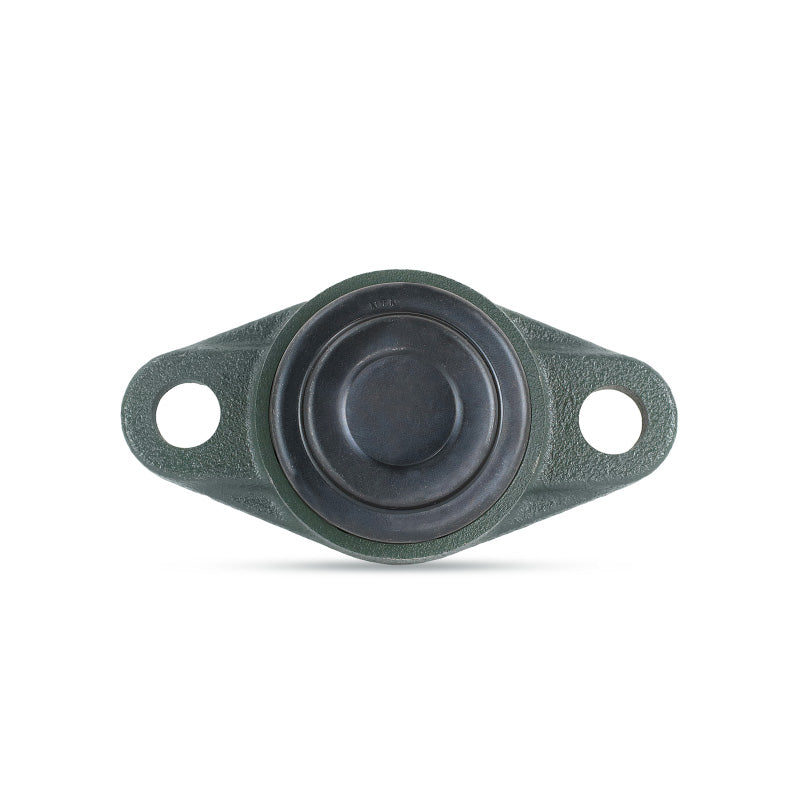 NTN M-SM-UCFL213-208D1 Imperial Two Bolt Oval Cast Iron Flange Housing with 2-1/2 inch Bore Insert with Steel Plate Cover - Closed Version - Allow 2-3 Days