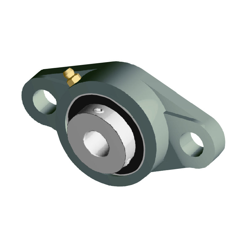 NTN UCFLX05-013D1 Imperial Two Bolt Oval Cast Iron Flange Housing with 13/16 inch Bore Insert - Allow 2-3 Days