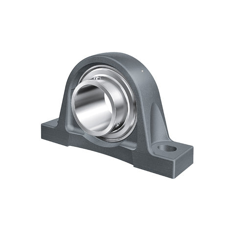 INA RASEY1 Cast Iron Plummer Block Housing with Grub Screw Insert 1 inch Bore