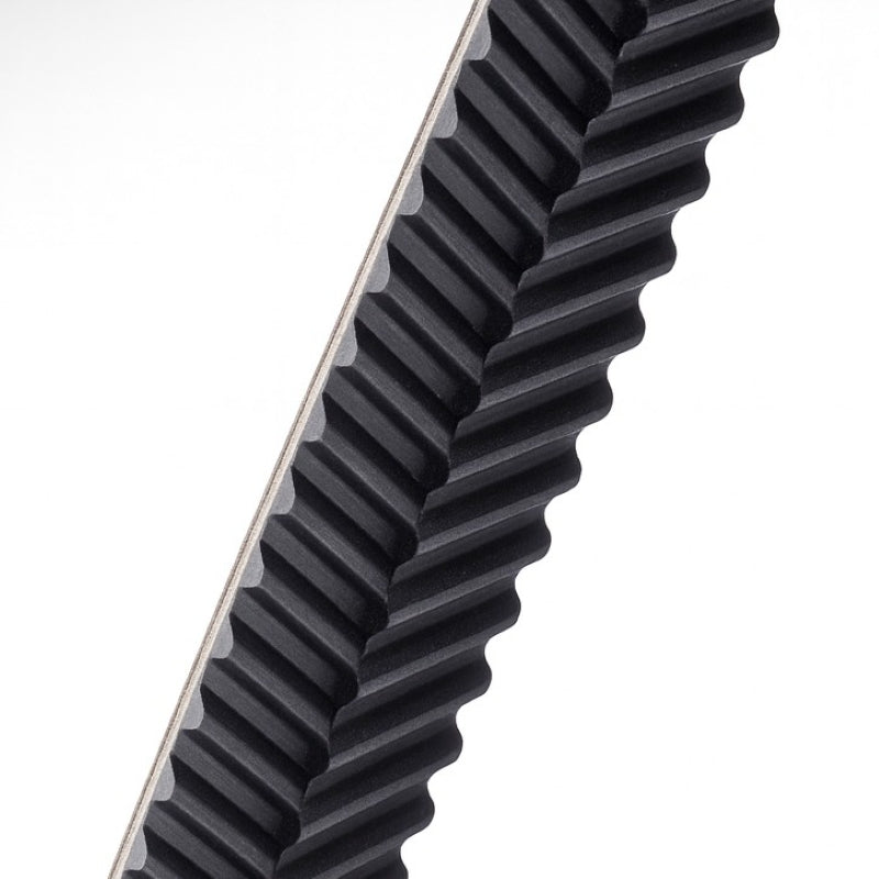 ContiTech Y1600 SilentSync Helical Offset Toothed Belt 16mm Wide 1600mm Length 200 Teeth Allow 2-3 Days