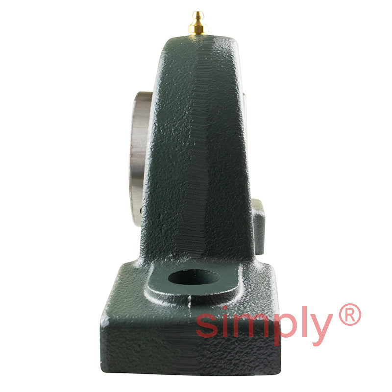 NTN UCPX12D1 Metric Cast Iron Two Bolt Pillow / Plummer Block Housing with 60mm Bore Insert